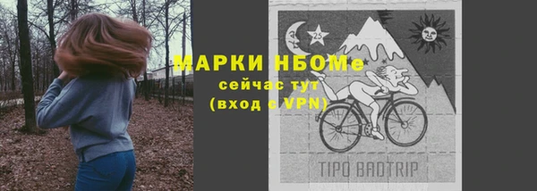 прущие грибы Белокуриха