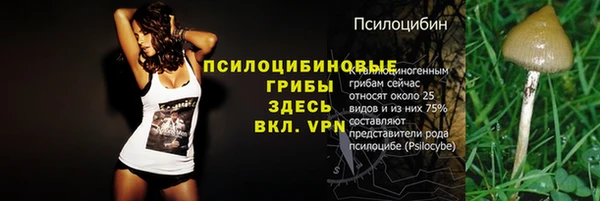 прущие грибы Белокуриха