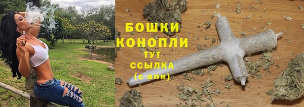 прущие грибы Белокуриха