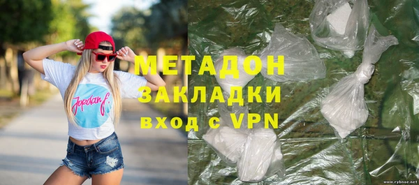 прущие грибы Белокуриха