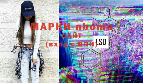 прущие грибы Белокуриха